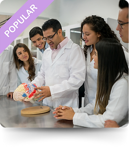 Neuroscience and Dream Memory