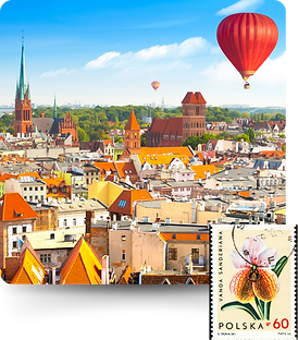 Blog Page 103124 (59).png