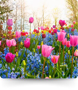 Blog Page 103124 (61).png