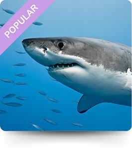 Blog Page 103124 - 2025-07-29T093351.479.png