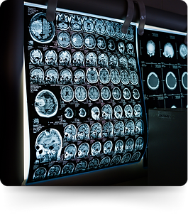 Blog Page 103124 - 2026-01-30T185255.613.png