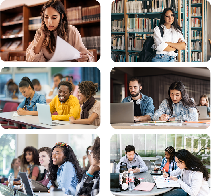 Students studying and learning happily