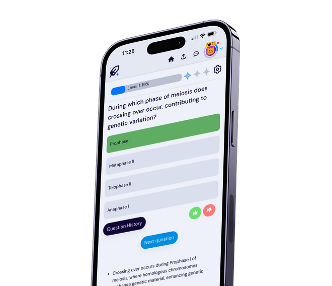 New Homepage (4).png