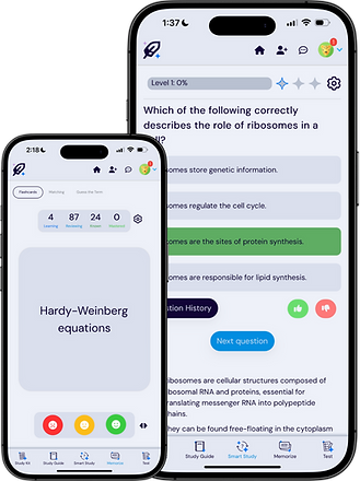 Untitled design - 2025-05-14T141932.614.png